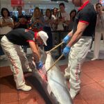 El ronqueo del atún se presenta ante el público en Valencia