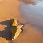 Esta arena de playa dorada es un lugar tranquilo incluso en verano