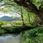 Imagen de la acequia La Andelma, situada en el corazón de este municipio español