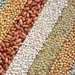 Algunos de los alimentos que consumimos a diario son considerados "superalimentos" por la cantidad de nutrientes y beneficios para la salud que tienen
