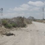 Alicante.- Sucesos.- Hallan la cabeza y extremidades del torso calcinado encontrado el lunes en la partida de Fontcalent