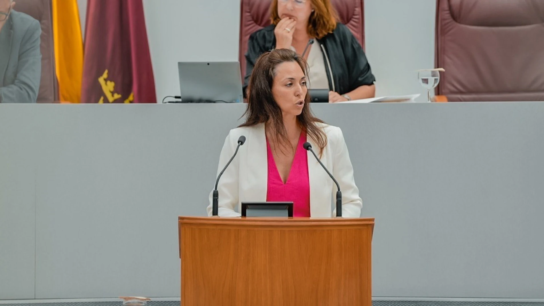 La diputada de VOX en la Asamblea Regional, Virginia Martínez, durante su intervención de este miércoles