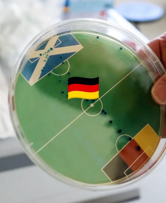 Oráculo de las bacterias