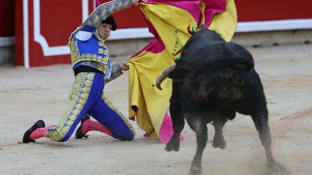 NOVILLADA FERIA DEL TORO