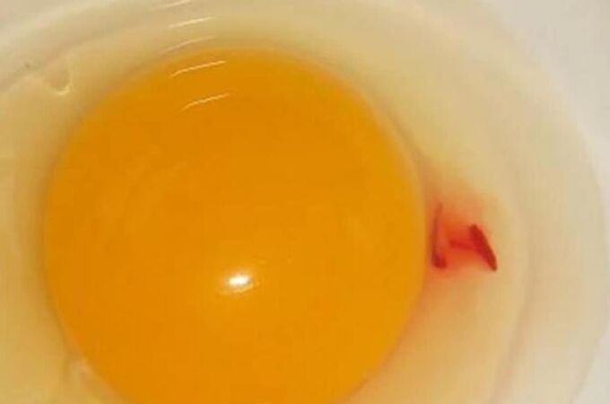 Mancha roja en huevo