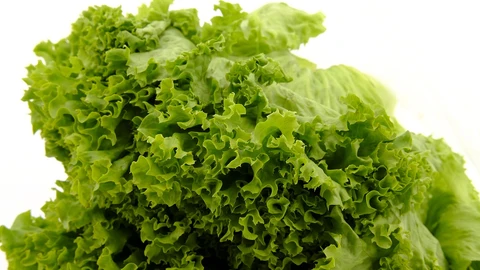 Conservar la lechuga en buen estado en la nevera puede ser todo un desafío