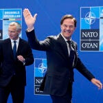 NATO Summit Explainer