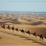Caravana de camellos en Marruecos