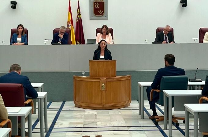 La consejera de Turismo, Cultura, Juventud y Deportes, Carmen María Conesa, durante su comparecencia en la Asamblea