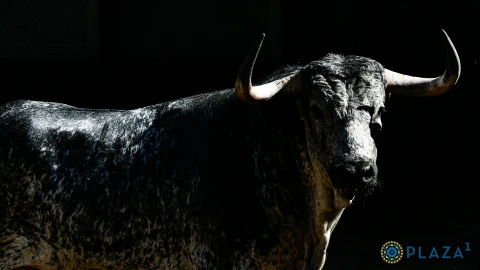 Estos son los muy serios novillos de Couto de Fornilhos para esta noche en Madrid