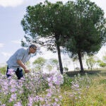 Sequía.- Las mariposas del área de Barcelona disminuyen más de un 30% en la sequía, según un informe