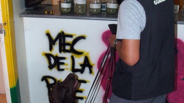 Sucesos.- Desmantelan en Fuente Álamo (Murcia) un punto de venta de drogas que usaba una falsa asociación de cannabis
