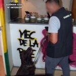 Sucesos.- Desmantelan en Fuente Álamo (Murcia) un punto de venta de drogas que usaba una falsa asociación de cannabis
