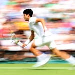 Wimbledon Championships 2024 - Day 14