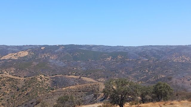 El Infoca prevé controlar el incendio de Obejo en 48 ó 72 horas en función de la meteorología