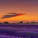 Atardecer malva en Caleruega