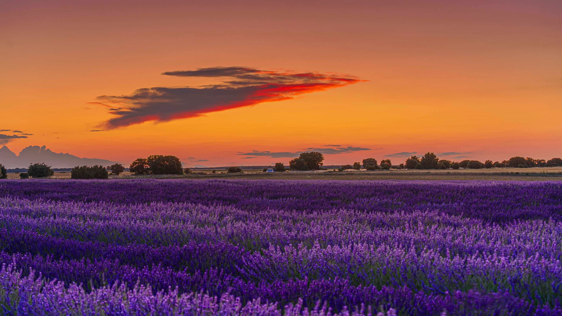 Atardecer malva en Caleruega