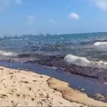 Un vertido de hidrocarburo tiñe de negro la playa de El Saler