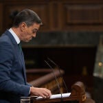 Pedro Sánchez presenta las líneas del plan de regeneración democrática en el Congreso