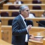 Sanz Vitorio durante su intervención en el Senado