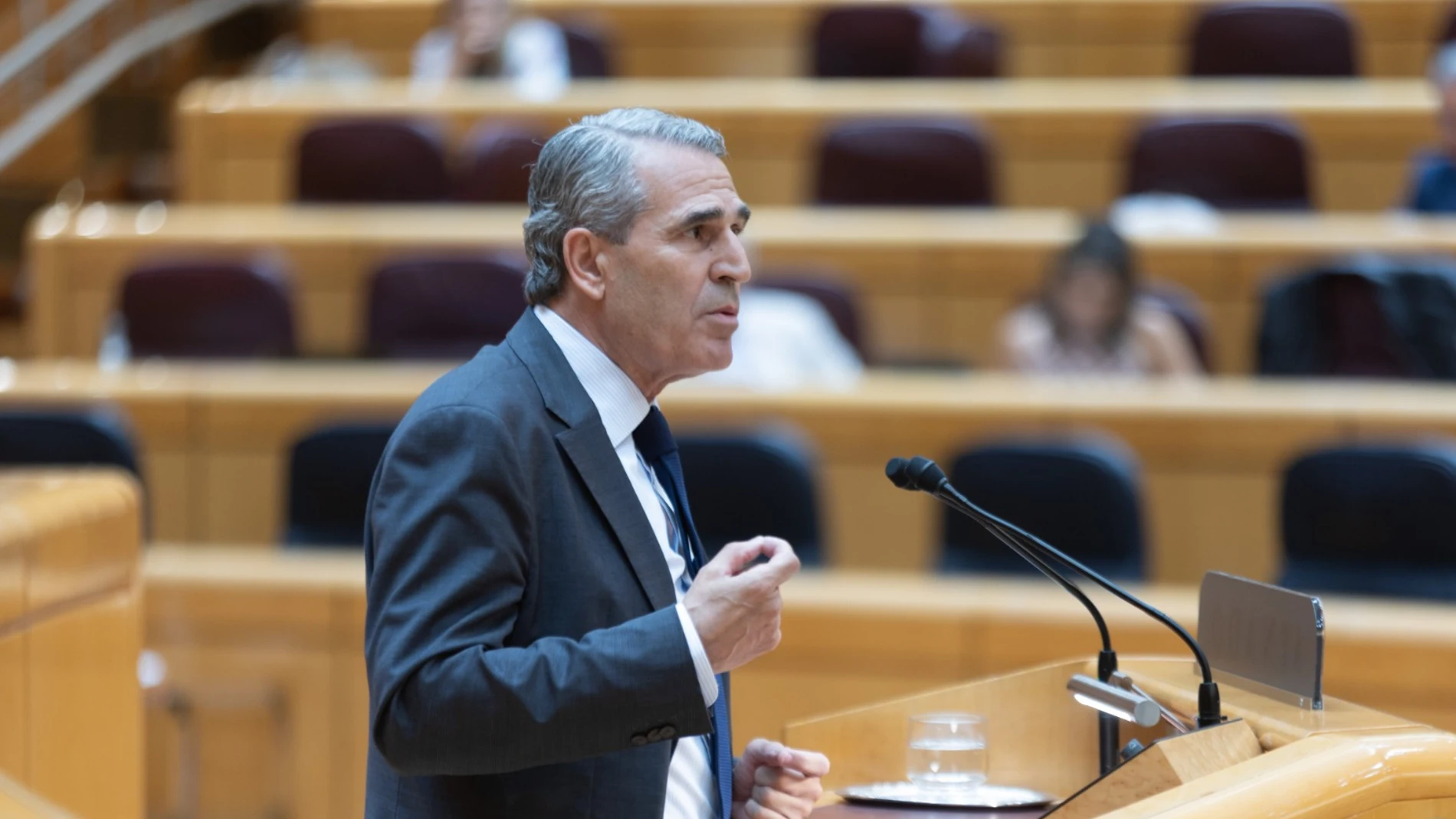 Sanz Vitorio durante su intervención en el Senado