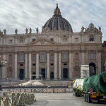 El abeto de Navidad del Vaticano llega a la plaza de San Pedro tras polémica por su tala