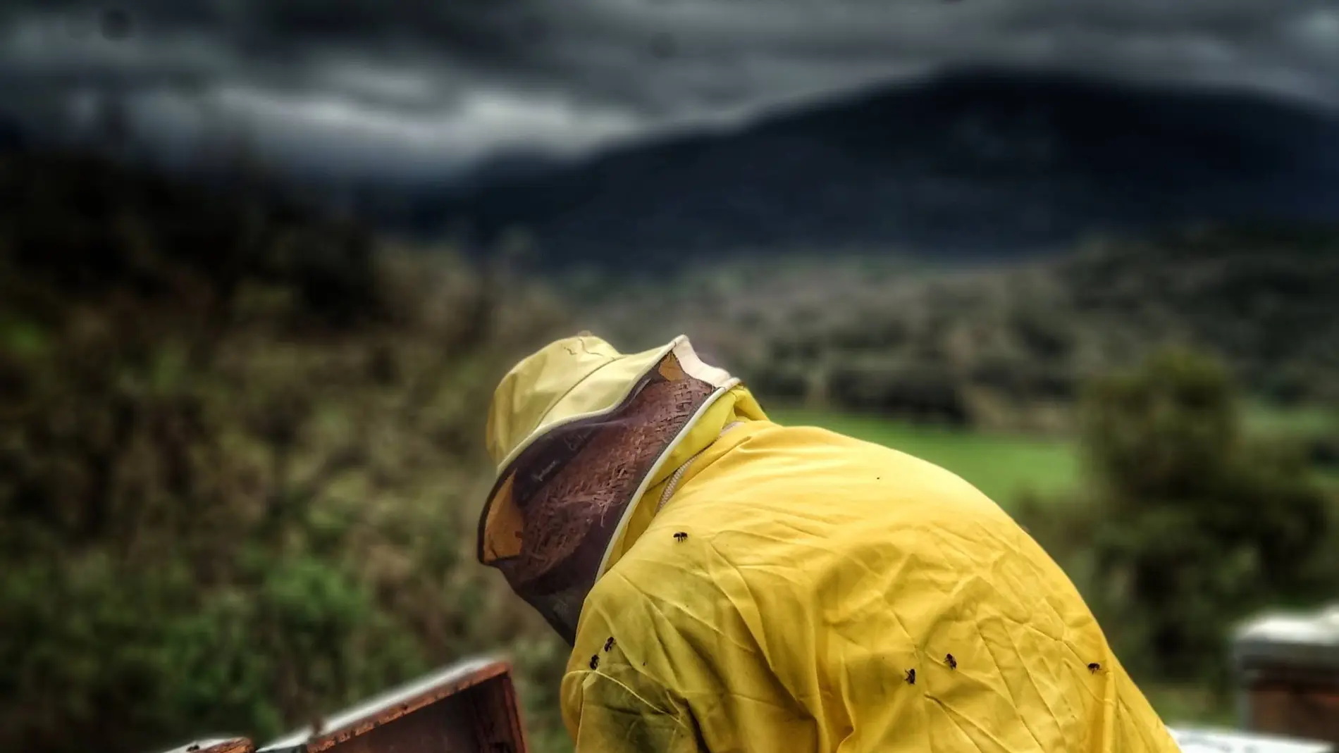 El sector, solo en la provincia de Cádiz, mueve una economía de seis millones de euros