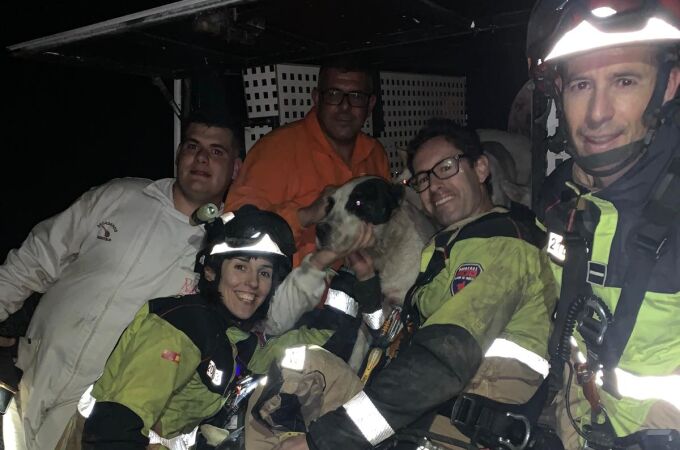 Los bomberos celebran el rescate del perro 