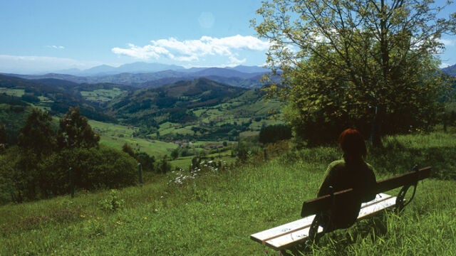 Praderas en Salas (Asturias)