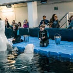 Familias ucranianas conocen en el Oceanogràfic a las belugas rescatadas de Járkov