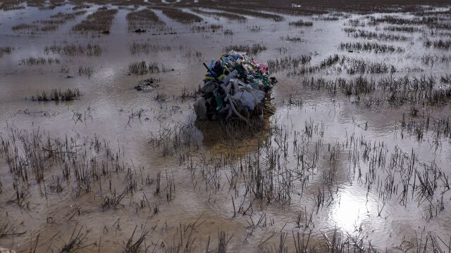 GRAFCVA3970. MASSANASSA (VALENCIA), 23/11/2024.- Detalle de la basura traída hasta los arrozales de La Albufera por la fuerza del agua de las inundaciones provocadas por la dana del pasado 29 de octubre. EFE/Kai Försterling