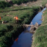 Trabajos de limpieza en L'Albufera 
