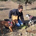 Niebla y Sol, perros truferos buscando trufa en un campo de carrasca