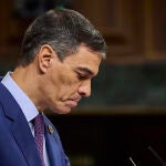 Comparecencia del presidente del Gobierno, Pedro Sanchez, para dar cuenta de las acciones realizadas por el Go