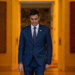 Pedro Sánchez