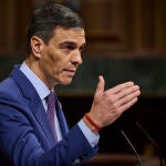 Comparecencia del presidente del Gobierno, Pedro Sanchez, para dar cuenta de las acciones realizadas por el Go