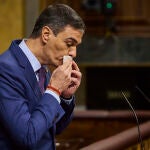 Comparecencia del presidente del Gobierno, Pedro Sanchez, para dar cuenta de las acciones realizadas por el Go