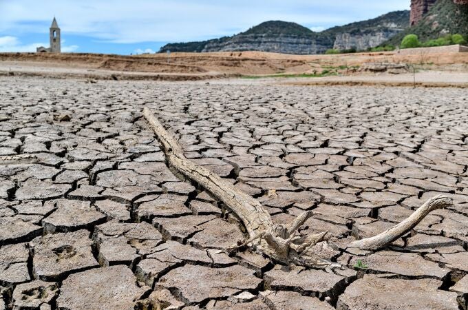 Un informe codirigido por Ingenio (CSIC-UPV) advierte de que el cambio climático reducirá el rendimiento de los cultivos