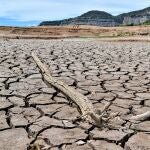 Un informe codirigido por Ingenio (CSIC-UPV) advierte de que el cambio climático reducirá el rendimiento de los cultivos