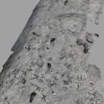 Un modelo computarizado en 3D de la superficie del área cercana al lago Turkana en Kenia muestra huellas fósiles de Paranthropus boisei (huellas verticales) junto con huellas separadas de Homo erectus que forman un camino perpendicular.