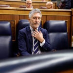 El ministro del Interior, Fernando Grande-Marlaska, durante un pleno en el Congreso de los Diputados.