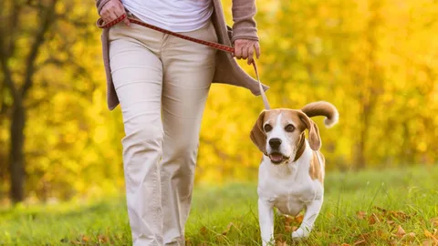 Cuánto hay que caminar si tienes más de 40 años para vivir más