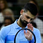 Novak Djokovic en la despedida de Del Potro