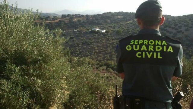 Agente del Seprona