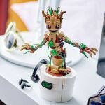 Lego groot