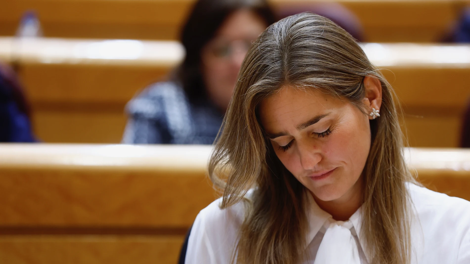 Sesion de Control al Gobierno en el Senado. La Ministra Sara Aagesen. © Jesús G. Feria.