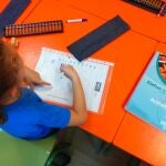 UE.- Los alumnos andaluces de cuarto de Primaria, entre los que obtienen una puntuación más baja en Matemáticas y Ciencias