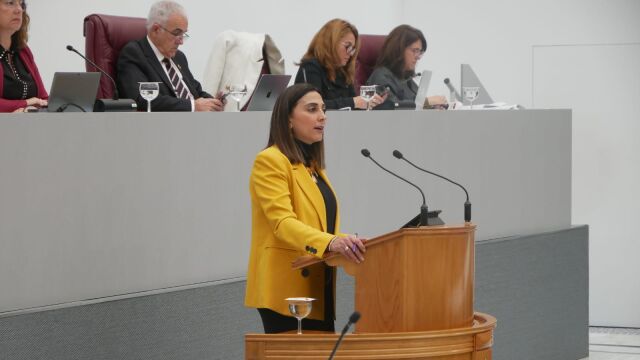La consejera Sara Rubira durante su comparecencia en la Asamblea Regional