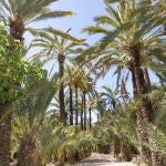 La suma perfecta de naturaleza, playa, cultura y gastronomía