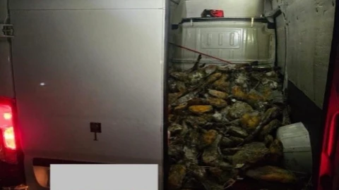 Sevilla.- Sucesos.- Un detenido tras ser interceptada una furgoneta robada que cargaba 344 jamones también sustraídos